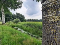 /album/winter-in-wervershoof-2020-21/hulshorst-03-jpg/